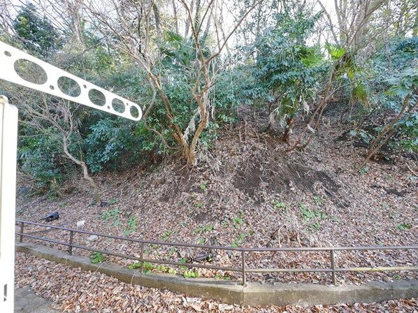 ユナイト鴨居ゴーギャンの夢の物件内観写真